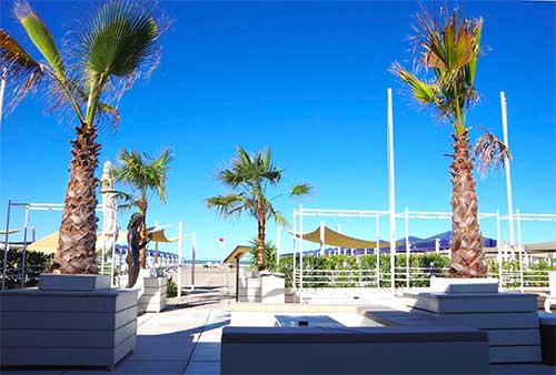 mora-mora-lido-di-camaiore-2